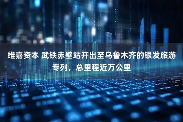 维嘉资本 武铁赤壁站开出至乌鲁木齐的银发旅游专列，总里程近万公里