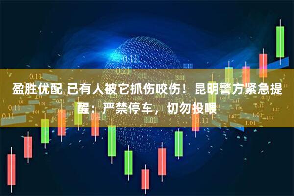 盈胜优配 已有人被它抓伤咬伤！昆明警方紧急提醒：严禁停车，切勿投喂