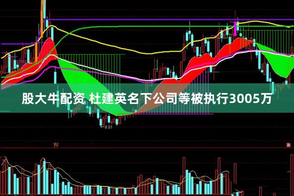 股大牛配资 杜建英名下公司等被执行3005万