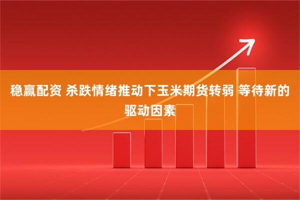 稳赢配资 杀跌情绪推动下玉米期货转弱 等待新的驱动因素