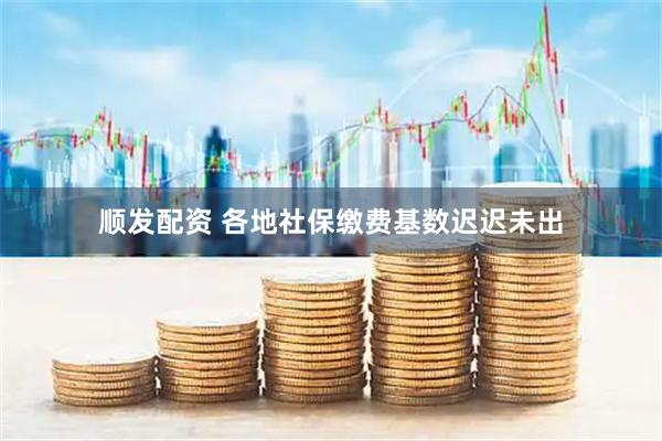 顺发配资 各地社保缴费基数迟迟未出