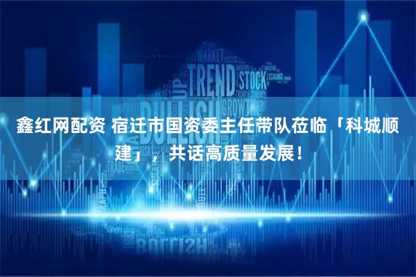 鑫红网配资 宿迁市国资委主任带队莅临「科城顺建」，共话高质量发展！