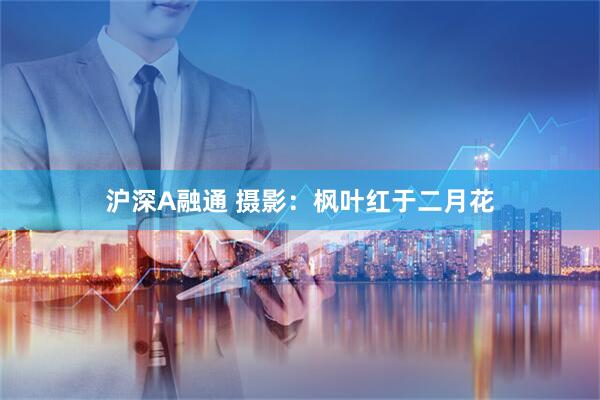 沪深A融通 摄影：枫叶红于二月花
